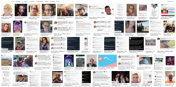 kevin-gibes_kathryn-gibes_transsalamander.png