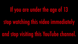video1.png