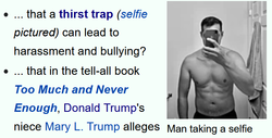 wikipedia (1).png