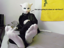 1595176059731.png