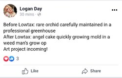 LoganDayFacebookWow2Deep4Me.jpg