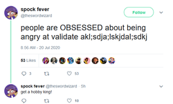2020-07-20 18_25_42-spock fever on Twitter_ _people are OBSESSED about being angry at validate...png