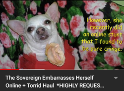 20200722_152349.png
