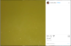 1595485967223.png