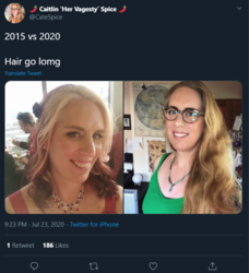 1595538552706.png
