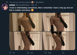 chris retweet - femboys.png chris retweet - femboys.png
