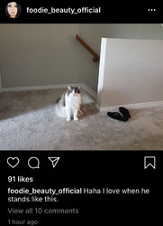 91304D6D-D2CE-4BA3-B392-44ABAAA0859E.jpeg