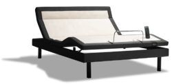 Final_bases_comparison_ERGO_EXTEND.width-1000.png