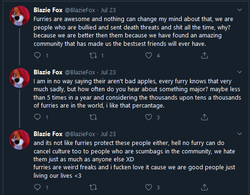 Blaziefox claims muh innocence 3.png