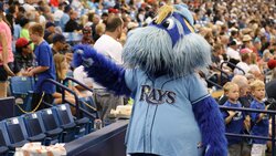 rays mascot.jpg