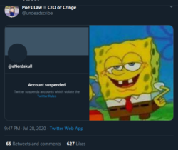 Screenshot_2020-07-28 Poe's Law = CEO of Cringe on Twitter https t co 4bCOLAqoLG Twitter.png