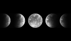 1596216513084.png