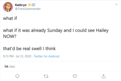 Screenshot_2020-07-31 Kathryn ✨🏳️‍⚧️ on Twitter what if what if it was already Sunday and I co...png