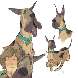 scoob.png