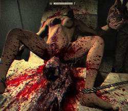 birth.png