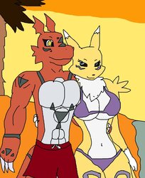 at_sunset_romance_by_supersaiyancrash_dck3avw-fullview.jpg