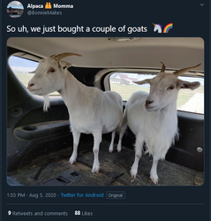 goats.png