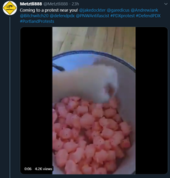 anomalouslegumes.png
