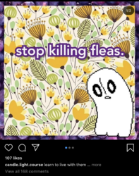 1596802479701.png