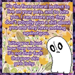 1596802492267.png