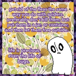 1596802499572.png