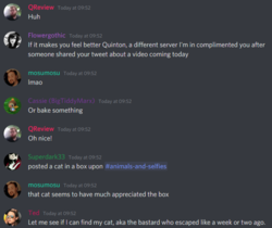 i feel bad lol 20.PNG