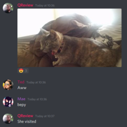 i feel bad lol 31.PNG