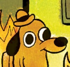 fine.jpg
