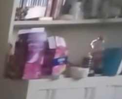 shelf.png