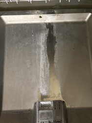 C5C5B5FC-5CF9-4F61-887D-81B4DF4F2280.jpeg