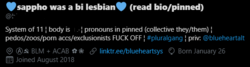 youraveragepluralscrub.PNG