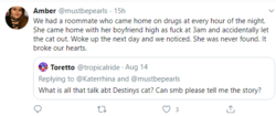 destinys cat.png