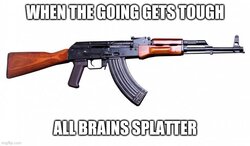 4blhaw.jpg
