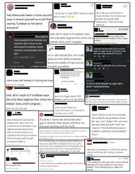 cottonceiling3.png