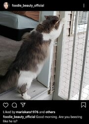 Screenshot_20200818-083647_Instagram.jpg