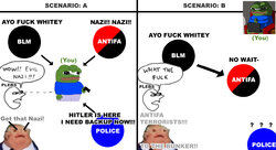 e61.jpg