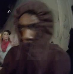Thief.png
