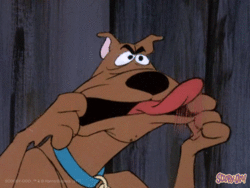 scooby.gif