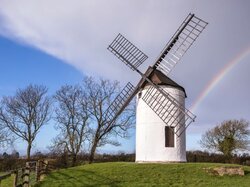 GettyImages-1000363964-0bbc7a8.jpg