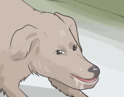 lol.png