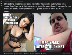 1598096709077.png