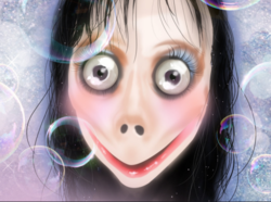 1598104174120.png