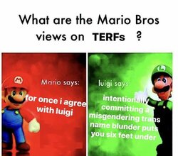 g7hcq5wka9i51.jpg