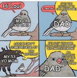 qxurdckh6li51.jpg