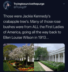 1598212491865.png