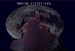 1598327409735.png