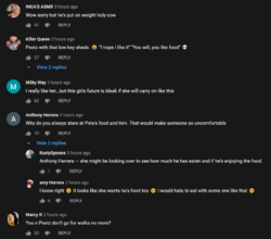 comments.PNG