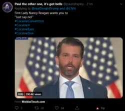 brave_RvRSph8QTs.png