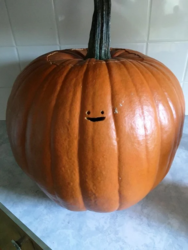 1598368055696.png