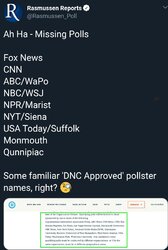 Pollster_shitposting.jpg